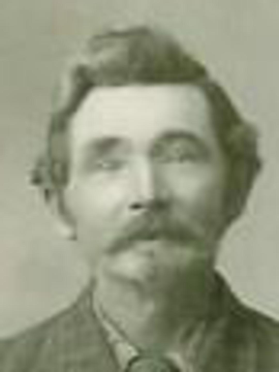 Willard Richards Andersen (1855 - 1918) Profile